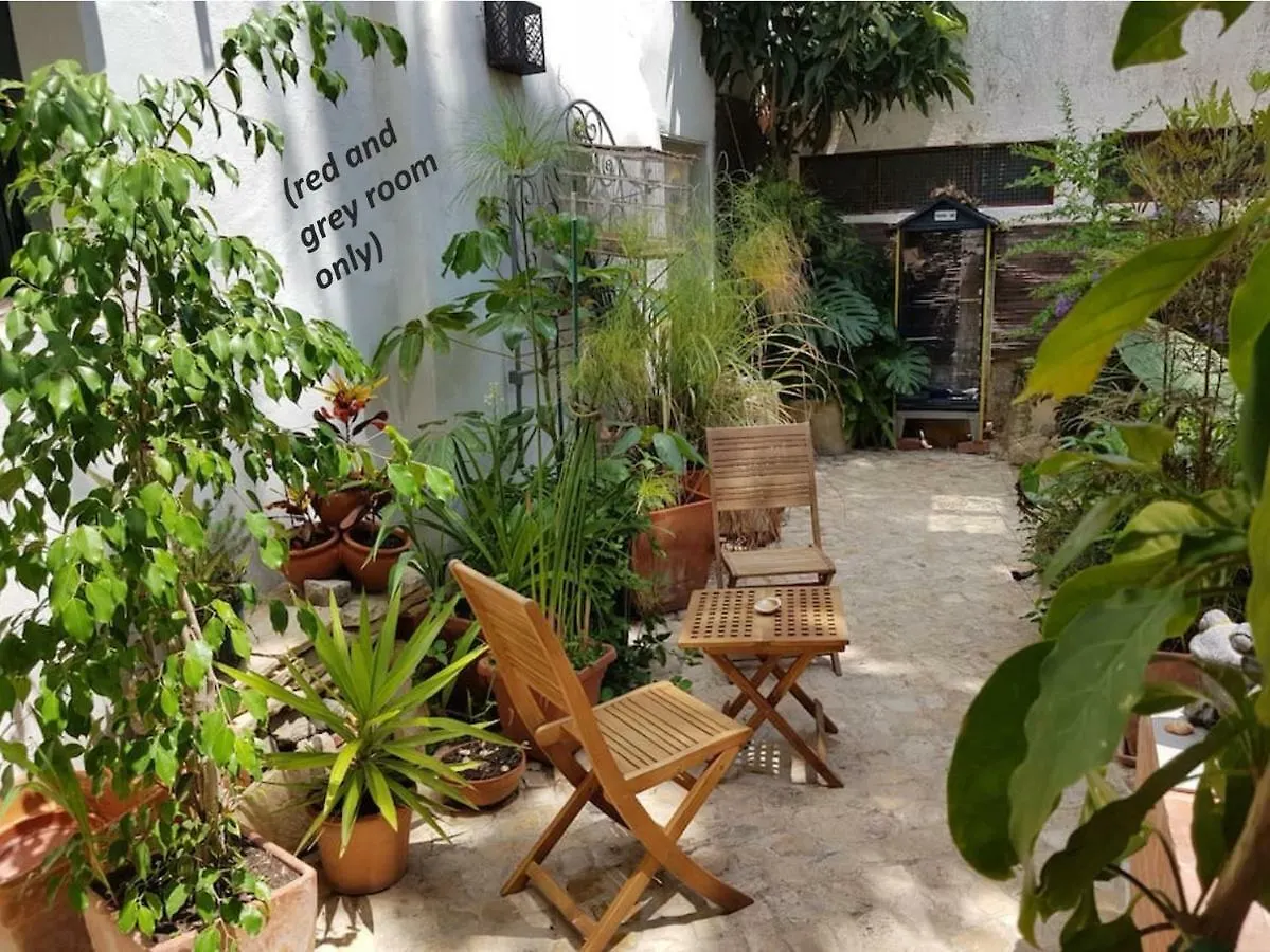Affittacamere Hotel Faro Town House